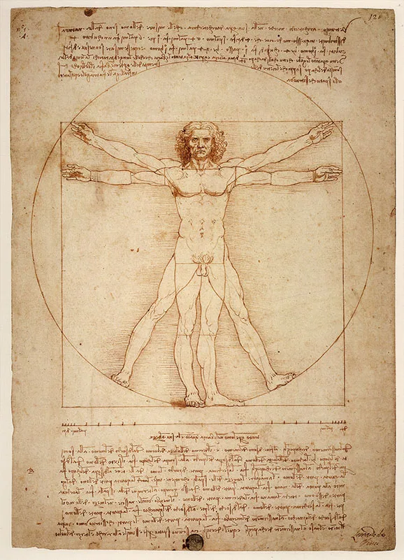 The Vitruvian Man by Leaonardo da Vinci