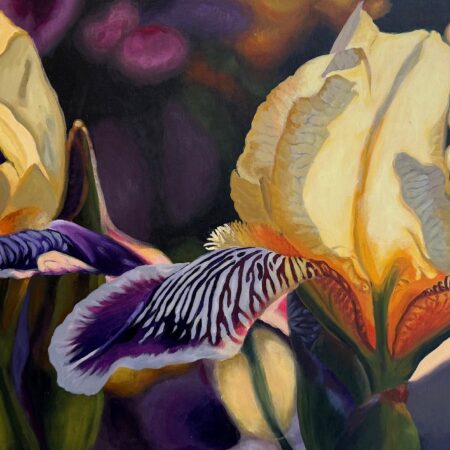 Illumination – Print