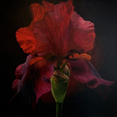 Enigma – Print