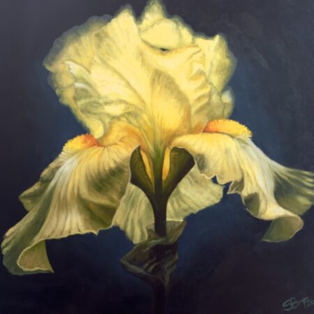 Magnificence – Print